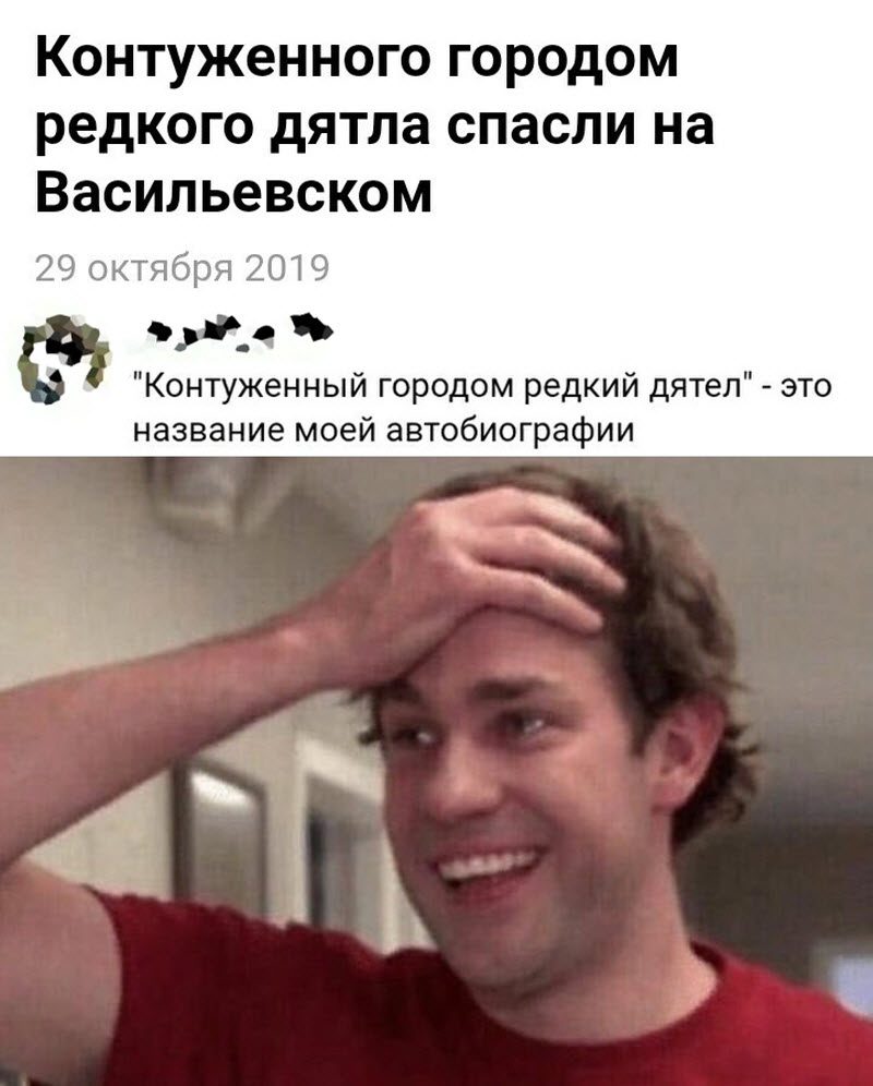 Прикольные картинки