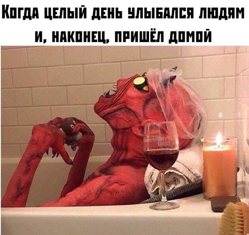 Прикольные картинки