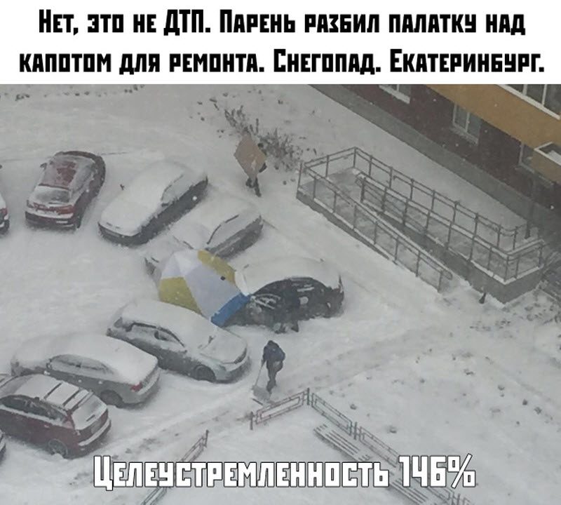 Прикольные картинки