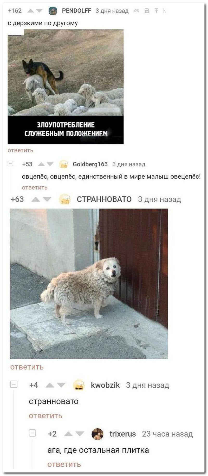 Забавные комментарии из социальных сетей