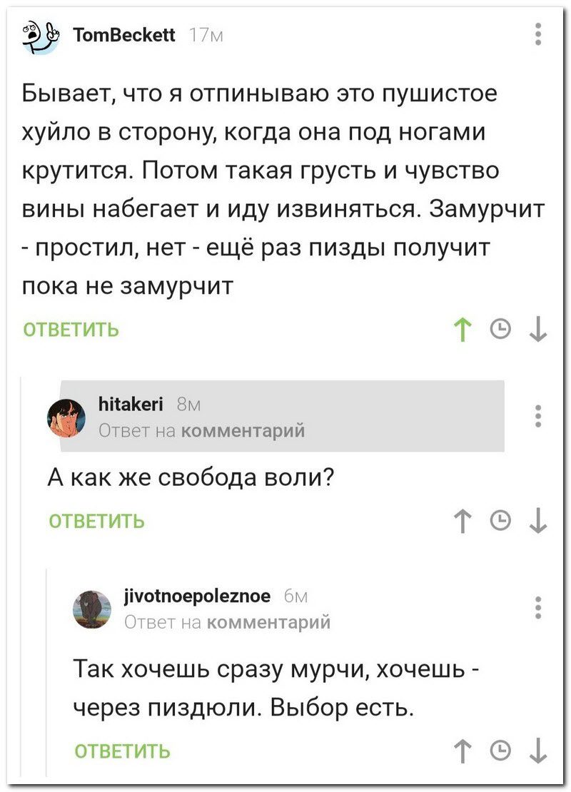 Забавные комментарии из социальных сетей