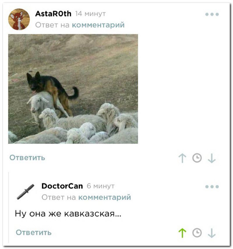 Забавные комментарии из социальных сетей