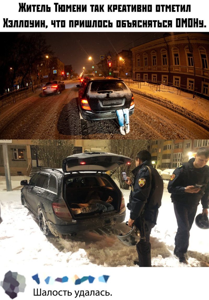 Прикольные картинки