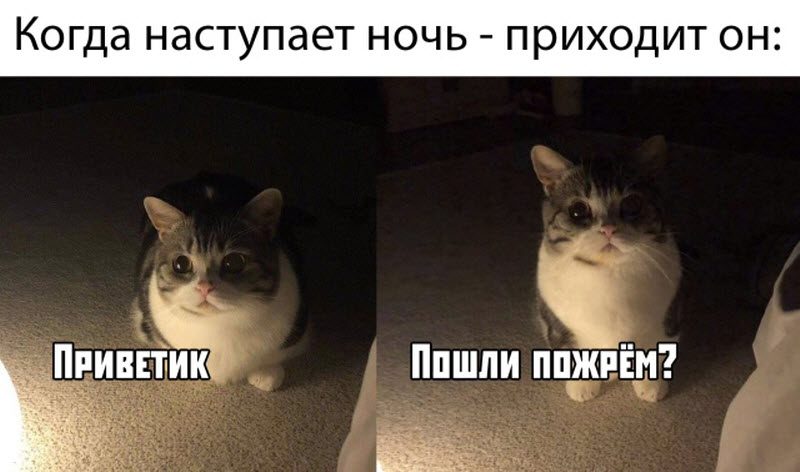 Прикольные картинки