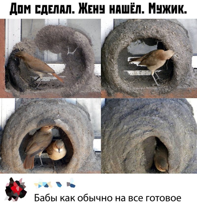 Прикольные картинки