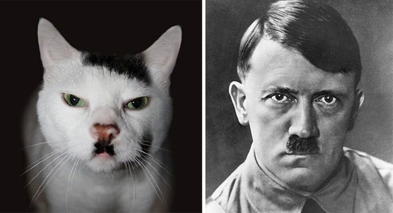 40 людей и вещей, схожесть которых зашкаливает
