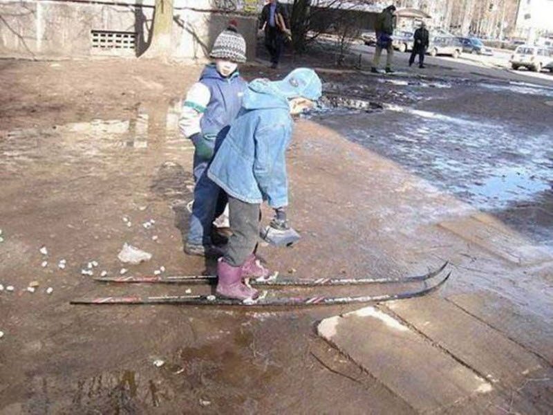 Прикольные картинки