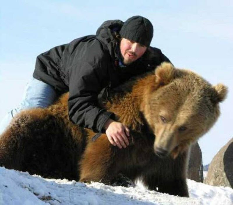 Прикольные картинки