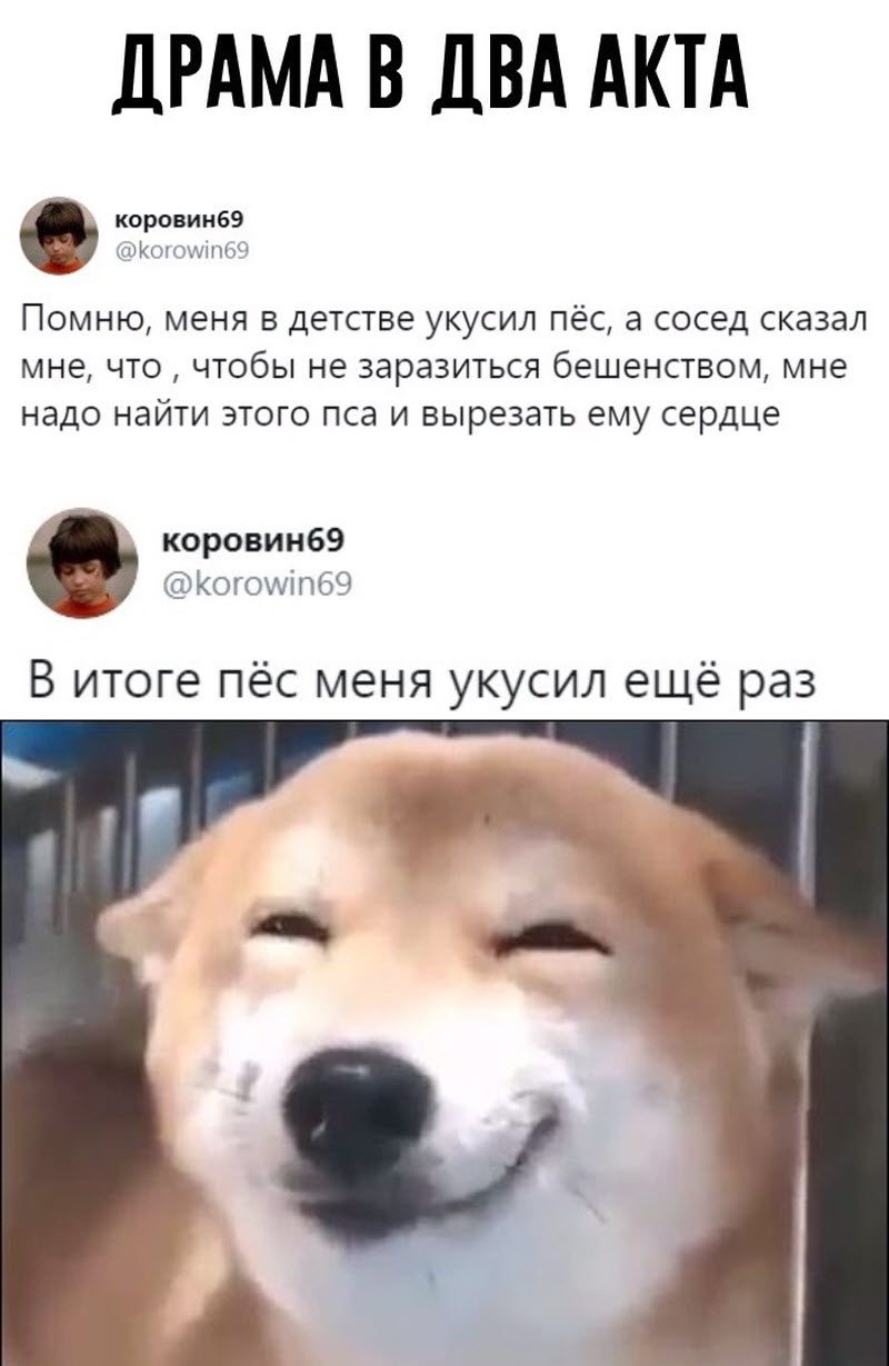 Прикольные картинки