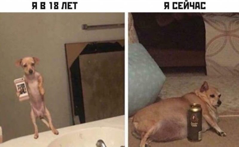 Прикольные картинки