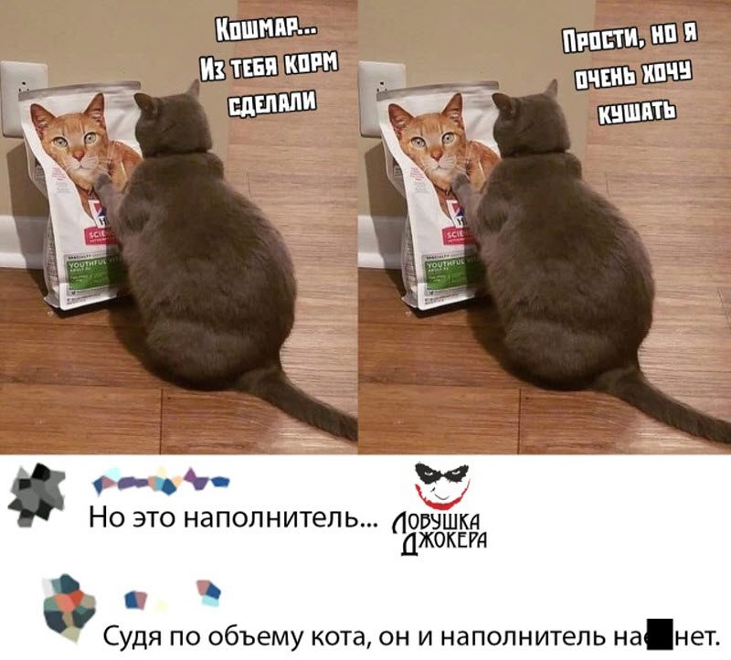 Прикольные картинки
