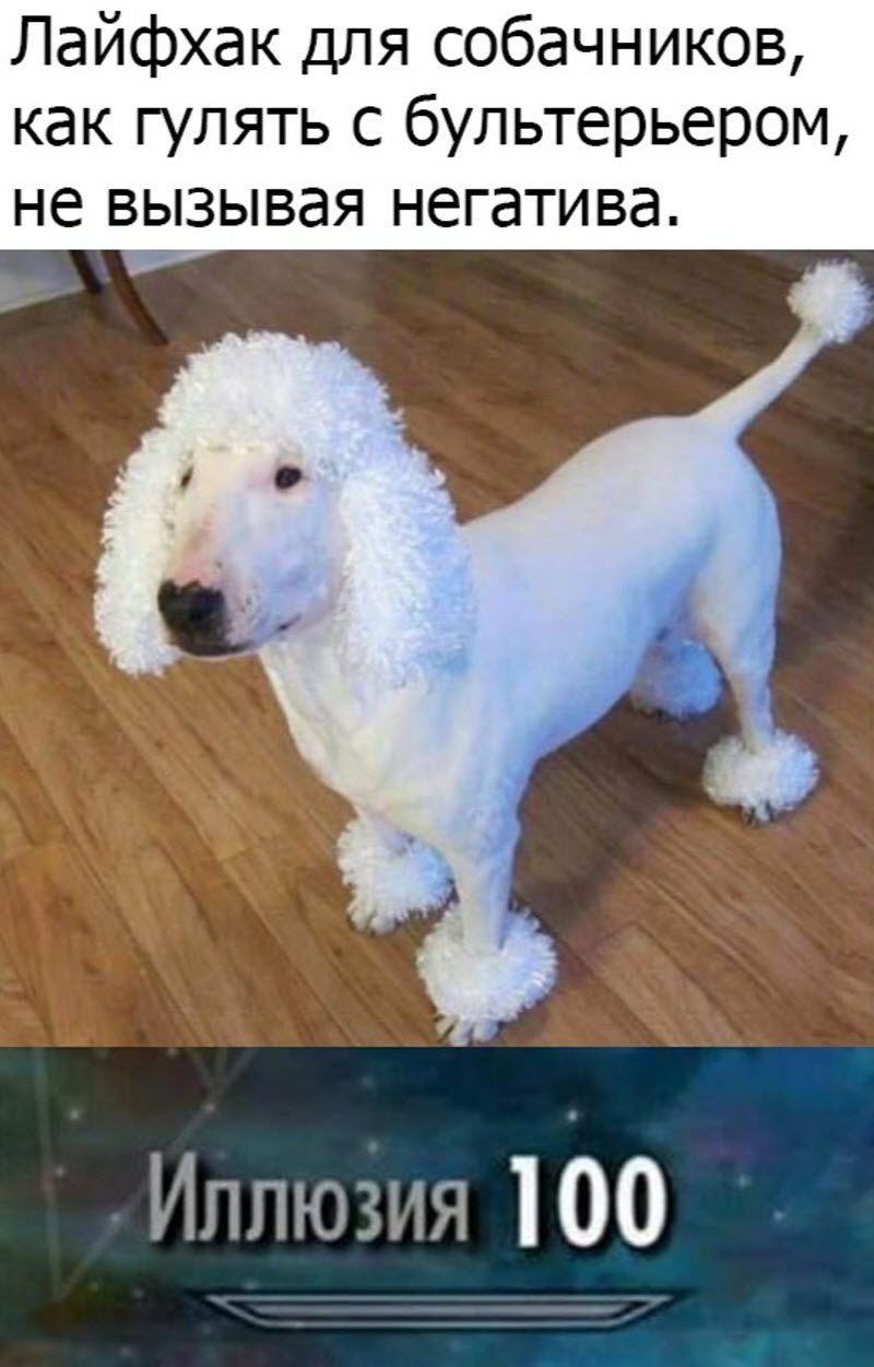 Прикольные картинки