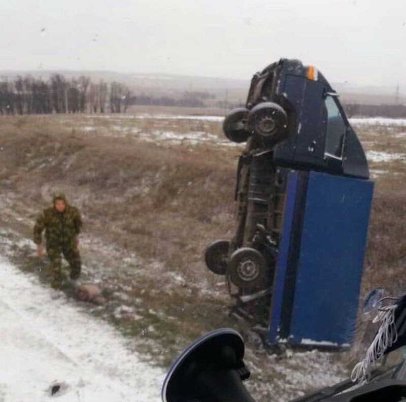 Прикольные картинки