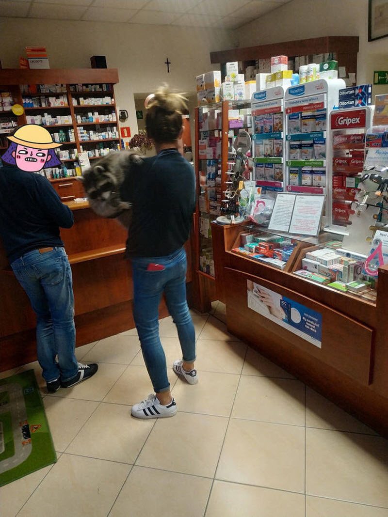Прикольные картинки
