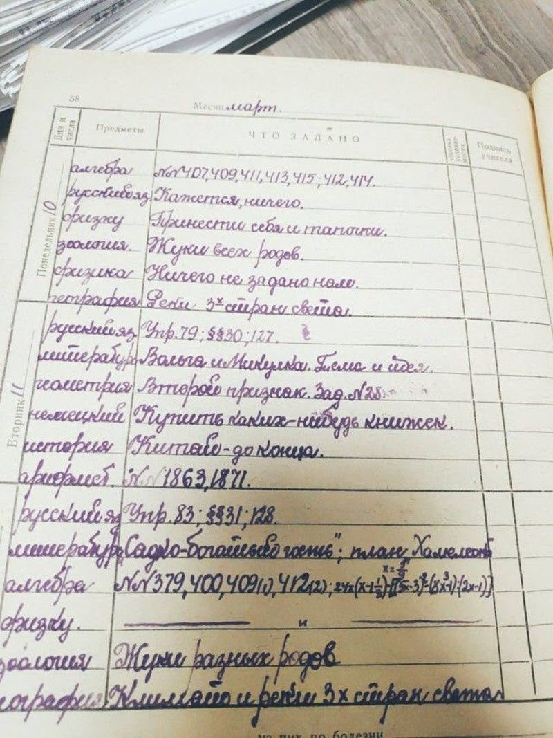 Тетради 6-классника из 50-х - выше всяких похвал