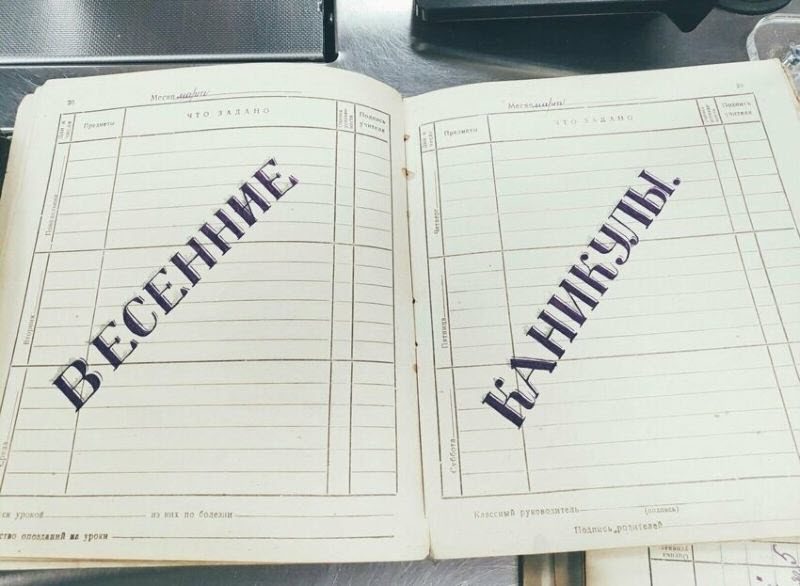 Тетради 6-классника из 50-х - выше всяких похвал
