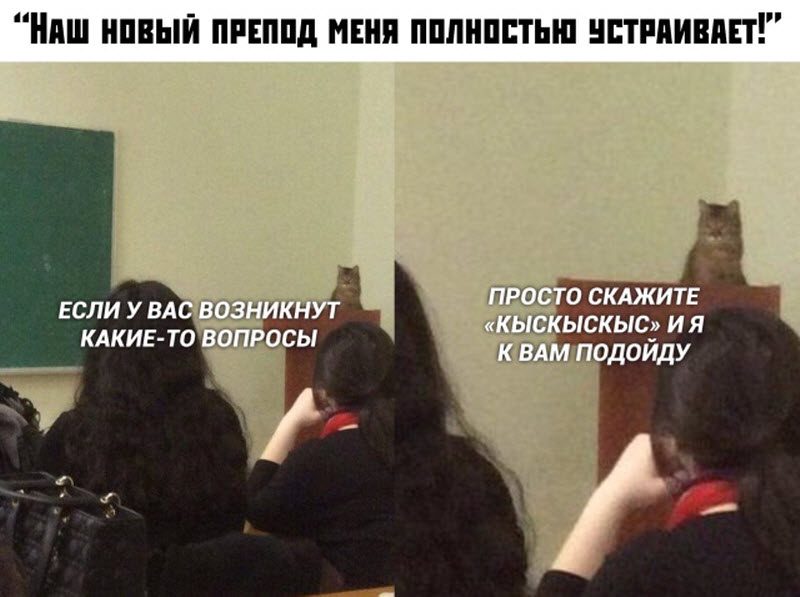 Прикольные картинки