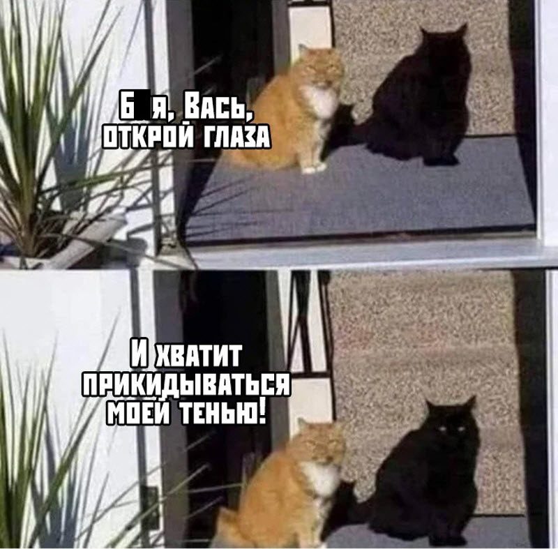 Прикольные картинки
