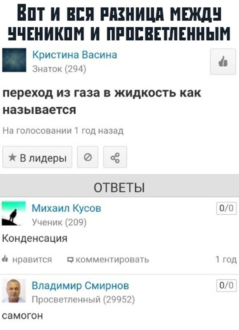 Прикольные картинки