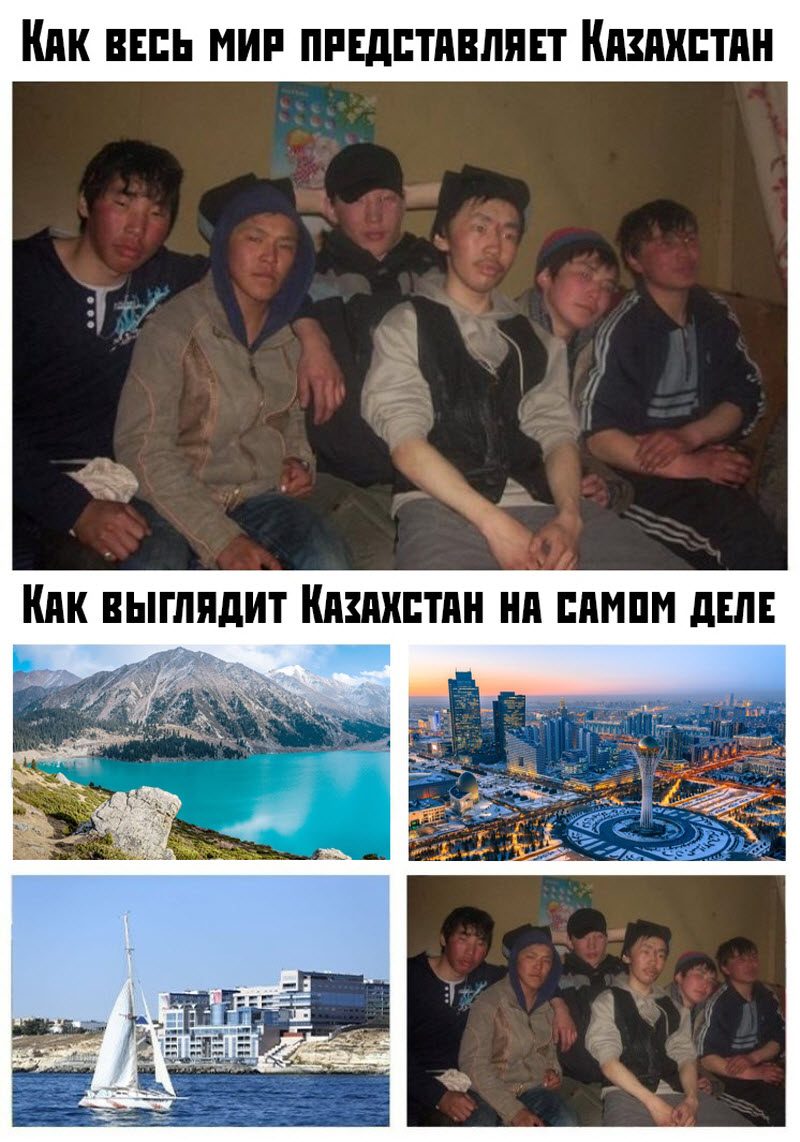 Прикольные картинки