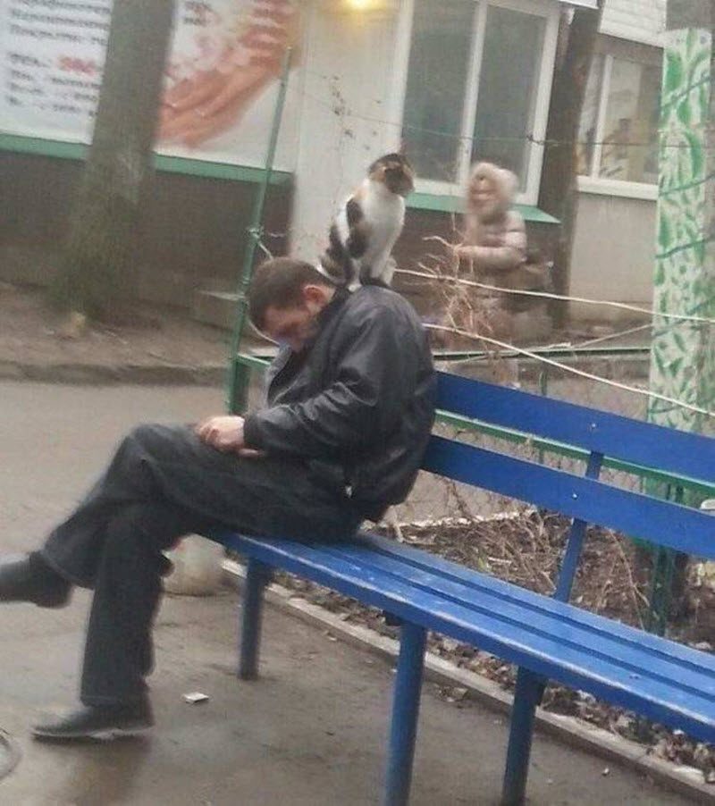 Прикольные картинки