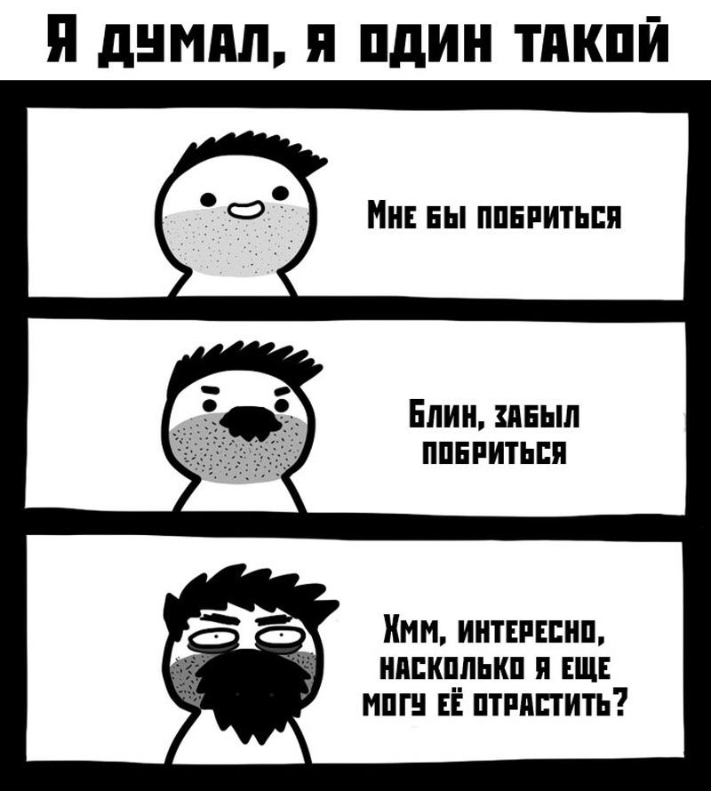 Прикольные картинки
