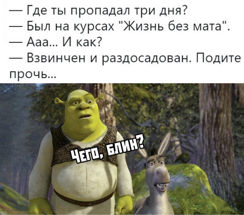 Прикольные картинки