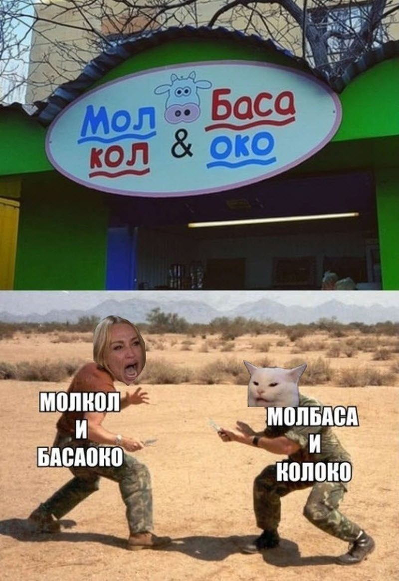 Прикольные картинки