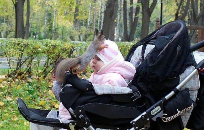 Прикольные картинки
