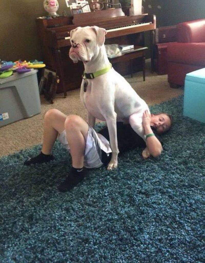 Прикольные картинки