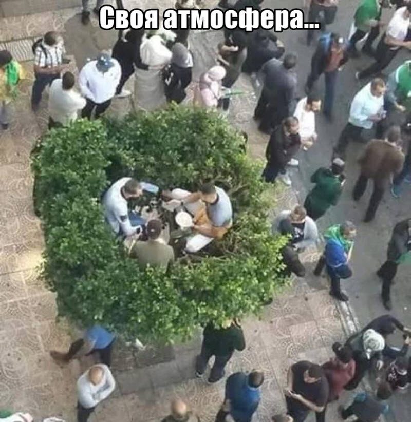Прикольные картинки