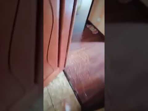 Цветы спасены, а квартира нет!
