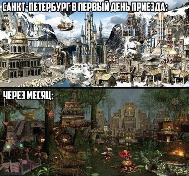 Забавные картинки