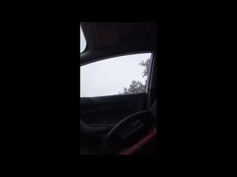 Ярик-шустрый