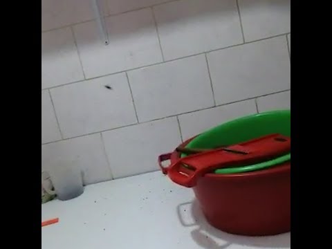 В Екатеринбурге на вокзале самсу не покупайте!