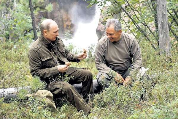 Власти взяли под контроль сбор грибов, ягод и берёзового сока