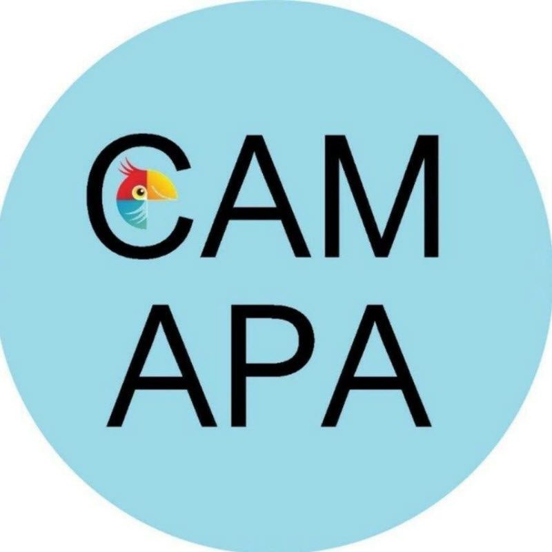 После анонса нового логотипа Санкт-Петербург пользователи начали предлагать логотипы своих городов