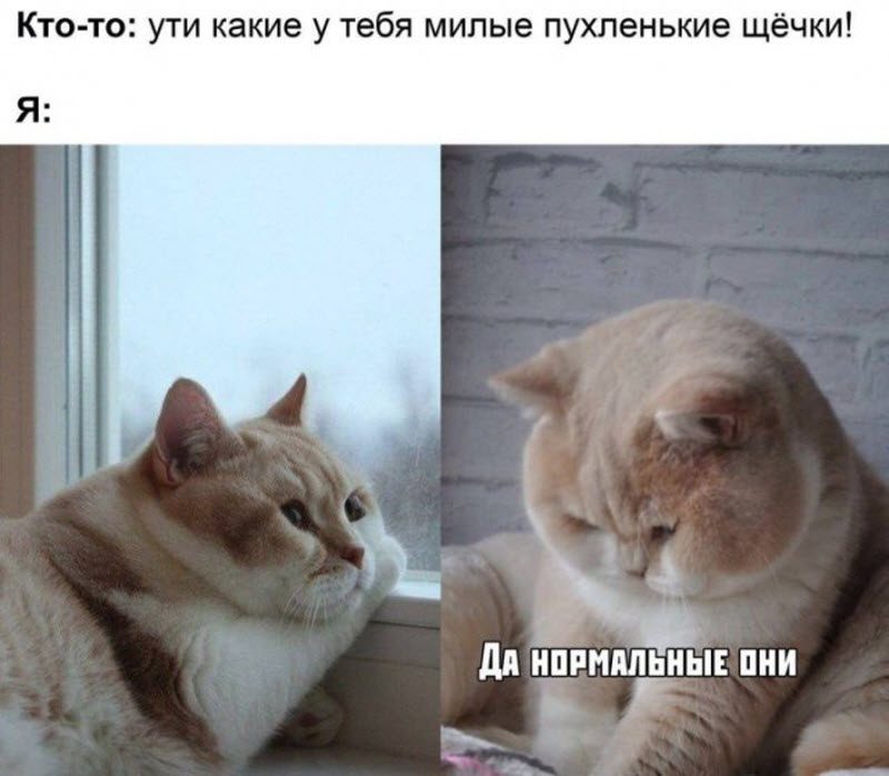 Прикольные картинки