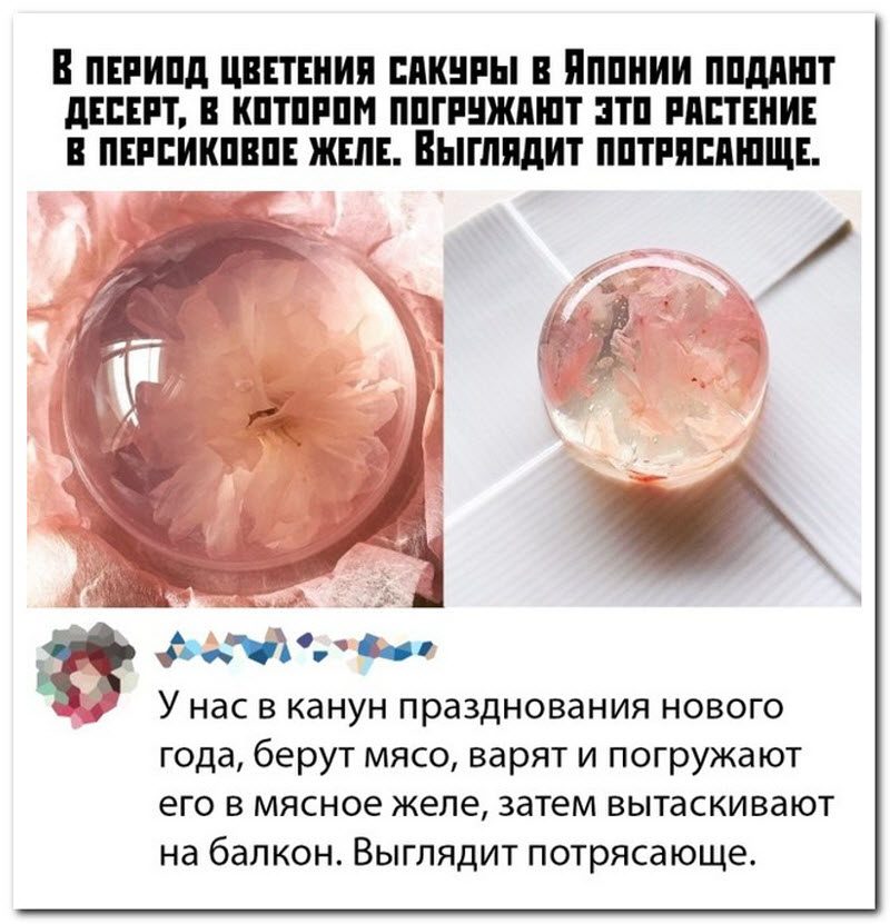 Забавные комментарии из социальных сетей