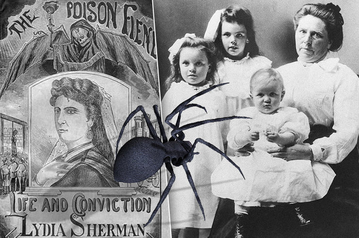 Знаменитые «черные вдовы» в истории Знаменитые «черные вдовы» в истории