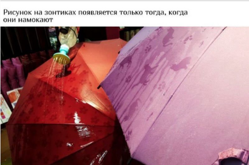 Как в Японии упрощают жизнь граждан