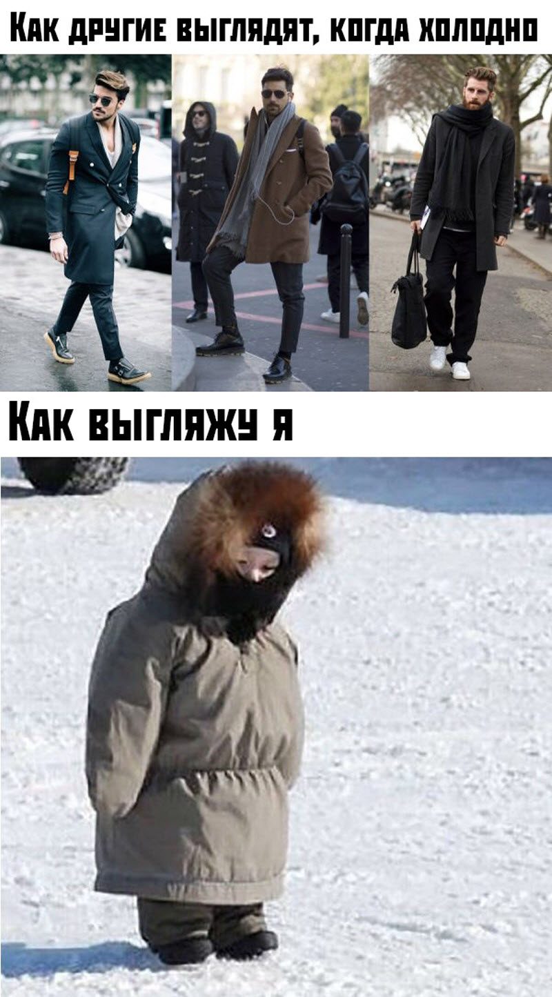 Прикольные картинки