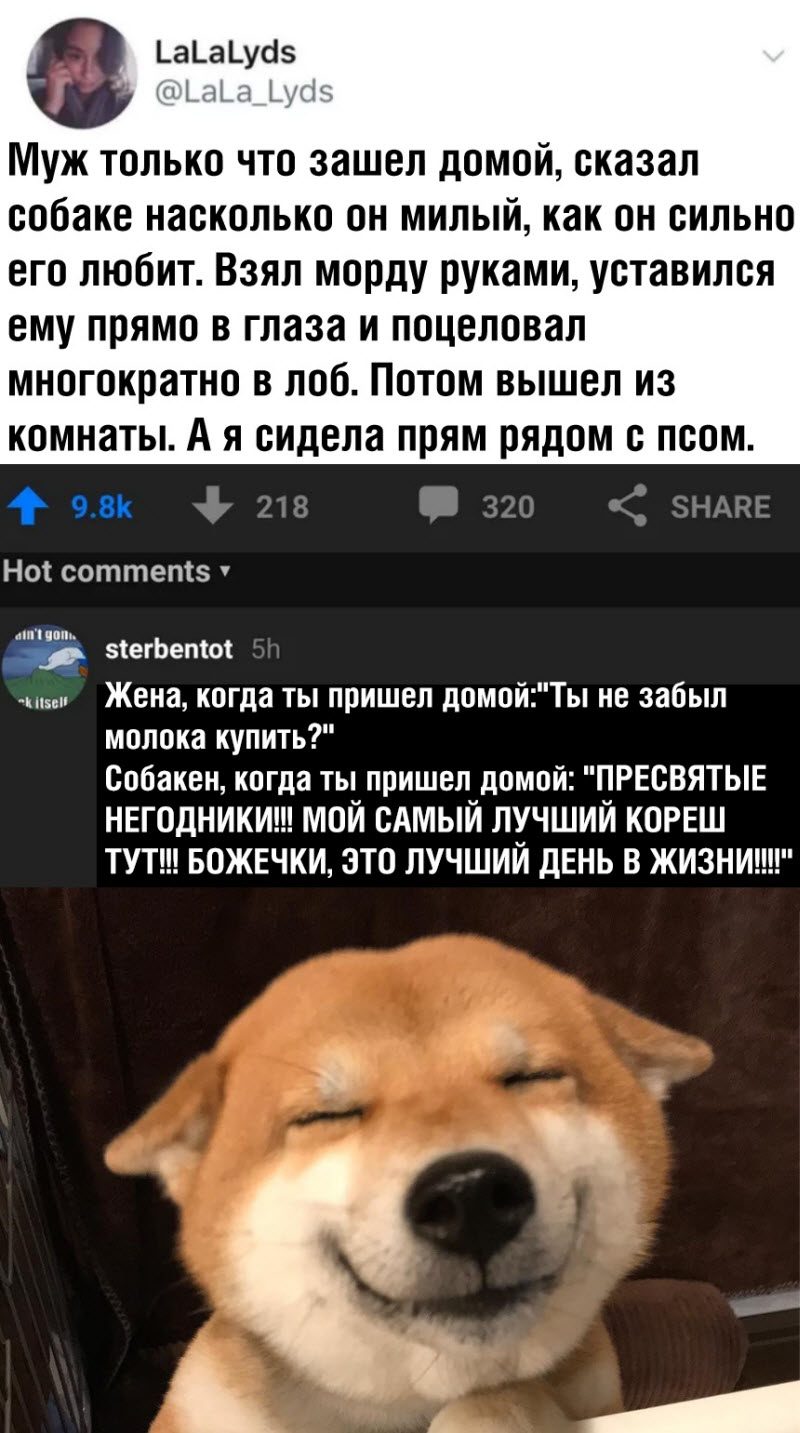 Прикольные картинки