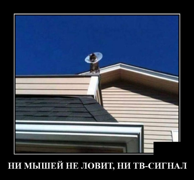 Демотиваторы