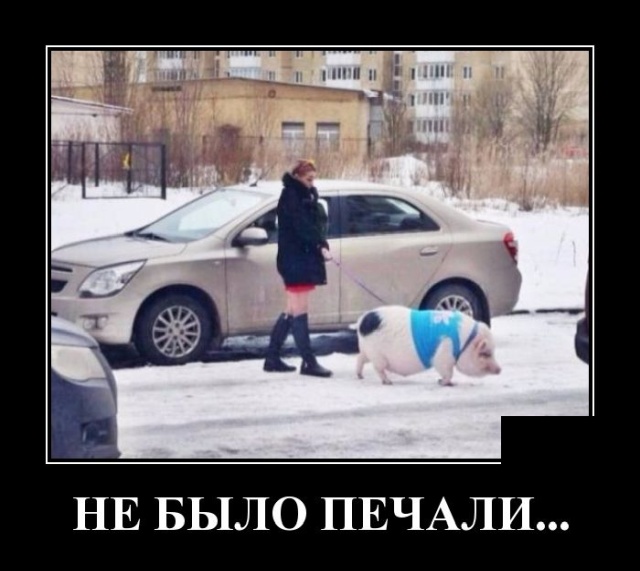 Демотиваторы