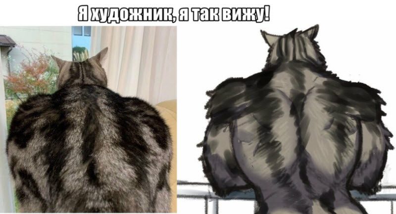Прикольные картинки
