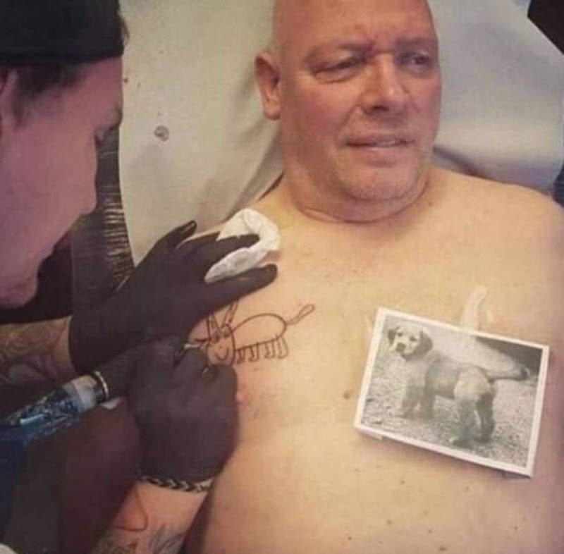 Прикольные картинки