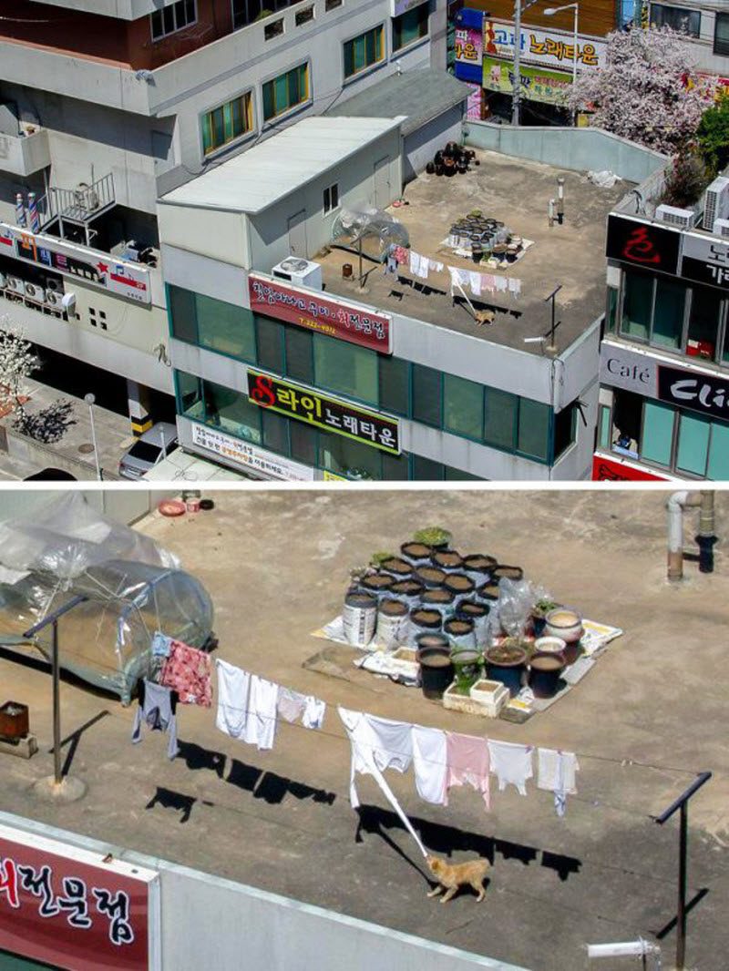 17 фотографий, на которых происходит что-то очень странное