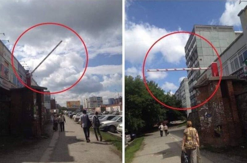 Прикольные картинки