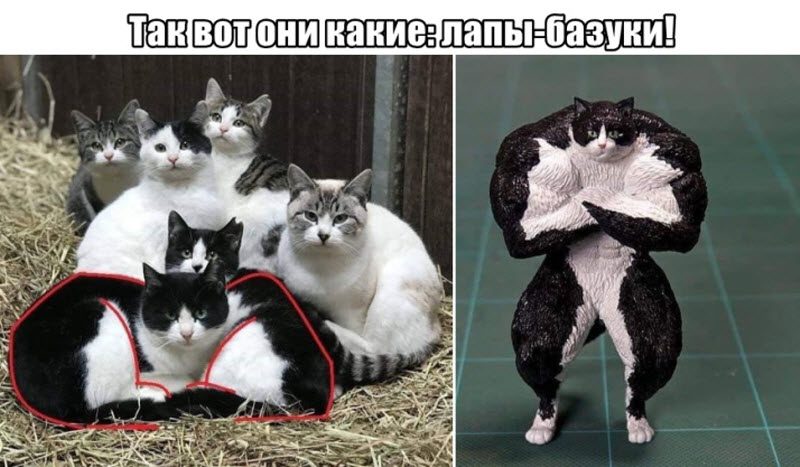 Прикольные картинки